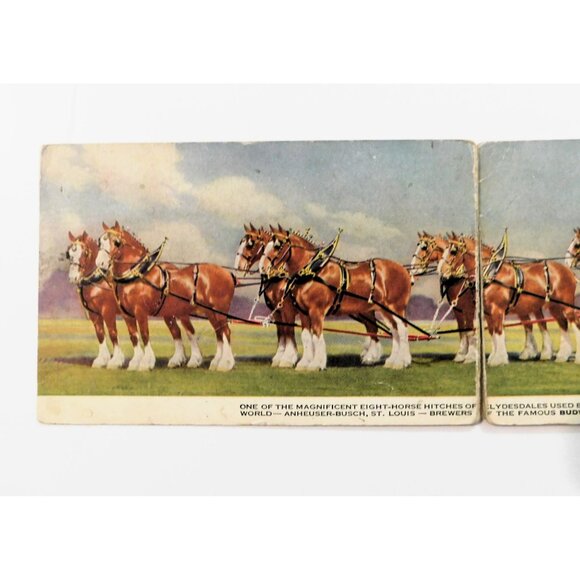 Budweiser Clydesdale Postcard Anheuser-Busch Fold-Out Vintage USA - Picture 2 of 5